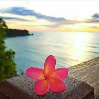 مجرد آحـــــسآس...هۣۗہمۣۗہسۣۗہآتۣۗہ عۣۗہآشۣۗہقۣۗہ... sa