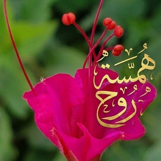همسة روح