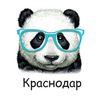 Детский центр | ЖК Достояние | Краснодар | Happy panda