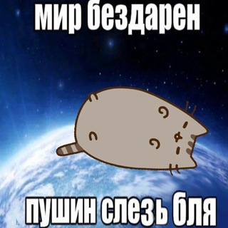 ВЕСЕЛЫЕ ЩП CONFESSION🍪