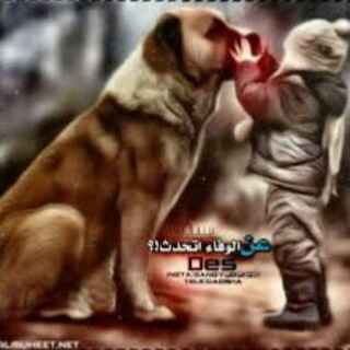 رمز الوفاء 🅰 في زمن الخيانة