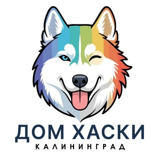 АНО Центр реабилитации СЕС "Дом хаски"