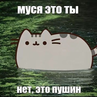 ПЕРЕХОДНИК Hate unteralterbach confession.