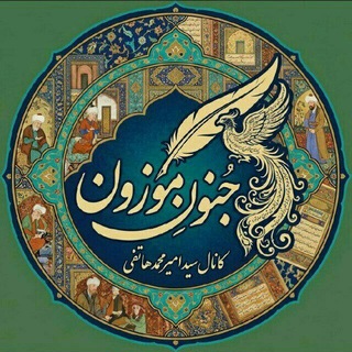 جنونِ‌موزون|سیدامیرمحمدهاتفی