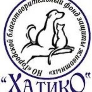 Приют для бездомных животных Хатико. Усть-Илимск Иркутская область🦮🐈