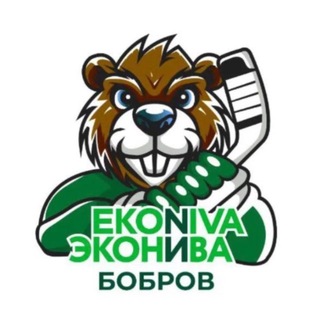 ХК «ЭкоНива-Бобров»