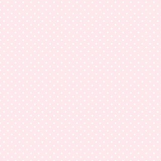 heart—scale 🐰🎀░ ࣪.