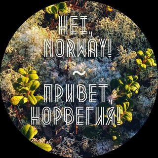 Hei, Norway! 🏕️ Привет, Норвегия!