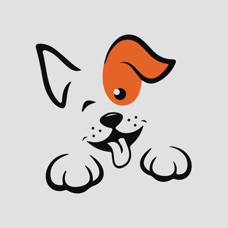 Приют для животных «Некрасовка» 6 сектор | HELP DOGS 6