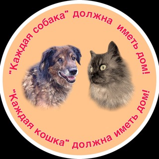 «Каждая собака» & «Каждая кошка»