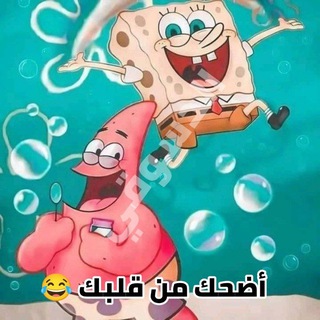 أضحك من قلبك ، نكت 😂