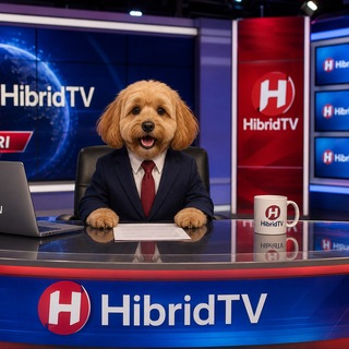 HibridTV