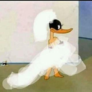 يومياات باايرة'ةة💅💃