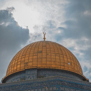 حمامةُ السلام🕊
