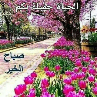 🌹 الحياة جميلة بكم🌹