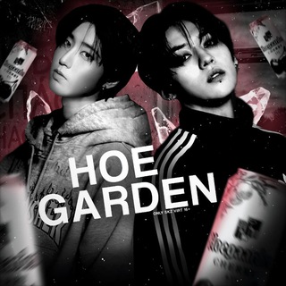 ЗАМОРОЗКА ‼️ HOEGARDEN