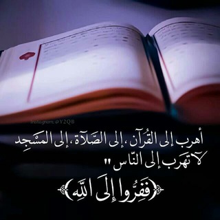 حب الرسول يجمعنا☺
