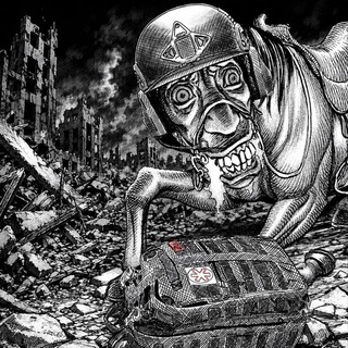 💀Конь Подвальный💀