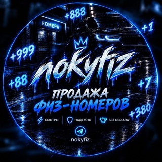 nokyfiz
