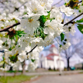 ⛪Храм святых мучеников Бориса и Глеба✨
