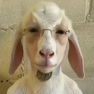 без слёз не взглянешь🗣