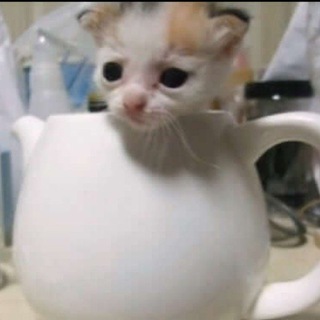 418 I'm a Teapot 🫖