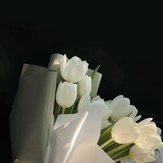 هُـــــدىٰ❥.