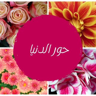 🌹👑حــــورالدنيــــــا👑🌹