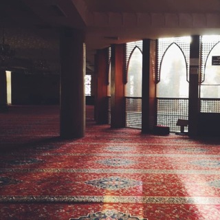 قناة | نهار الحارثي