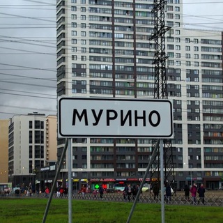 Инициативная комиссия города Мурино (микрорайон "Западный")
