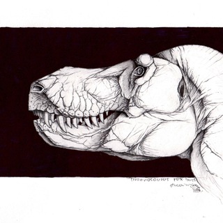 Ildarotyrannus Cave