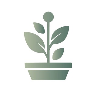 🌿ИЛЬКОР🌿