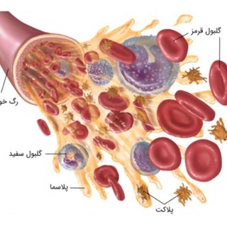 نکته و تست ایمنی شناسی پزشکی بر اساس ابولعباس
