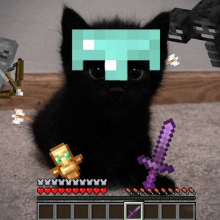 🐈‍⬛Кошачья территория🐈‍⬛