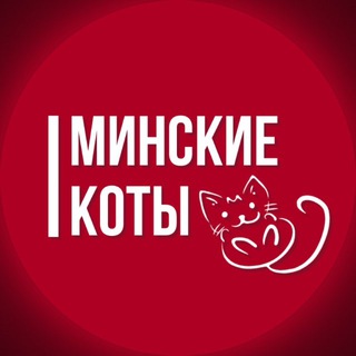Минские кoты