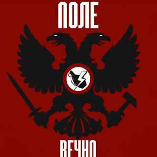 Поле Вечно🔻