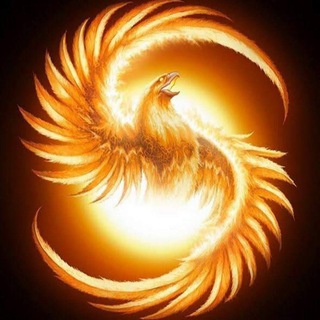 Частный канал ИНВЕСТИЦИИ в ПОЛЁТЕ InFlight 🚀🚀💥In-flight investment InFlight 🚀🚀💥 🚀🚀💥