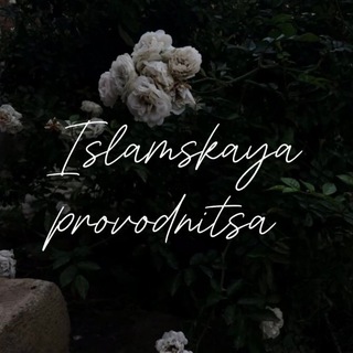 Исламская проводница.