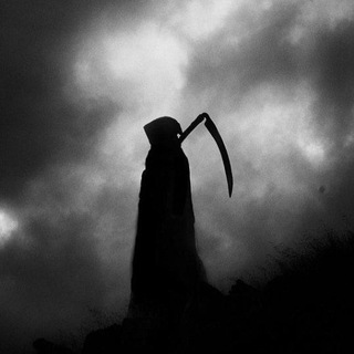 is wanderer