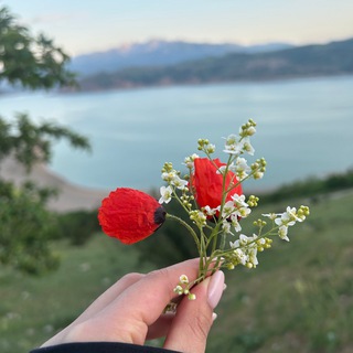 IT тусовки (горы, еда и нетворкинг)