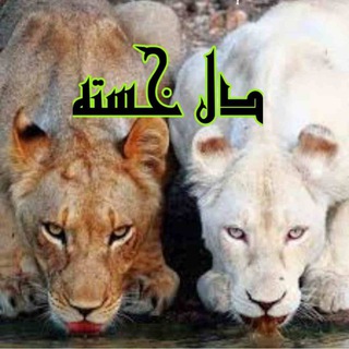 دلـِِ۪۪۪ٜۖـٰٰٰٰ۪۪ٜٖٖٖٖٖٖٖؓؔ‌ᬼـ❤️➹ِِ۪۪۪ٜۖـ۪۪ٜؓؔخستـــــه💔💔