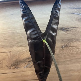 Изнанка 💚