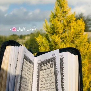 المؤنسـه الـﻏـاليـه🌸"•