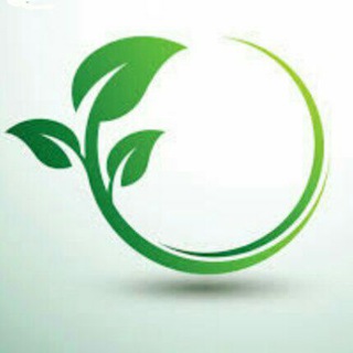 جدید ترین ها🌱