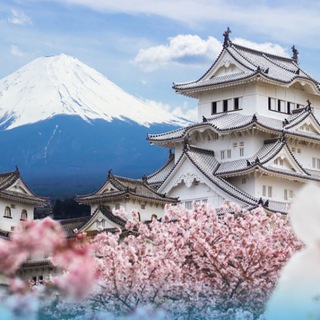 Japan 🇯🇵 Travel & Nightlife Guide