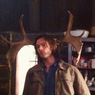 Jaredlovers_ir