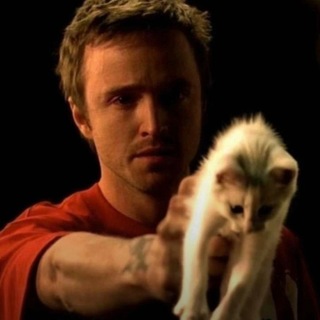 JESSE PINKMAN CONFESSION