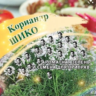 Гимн шутов