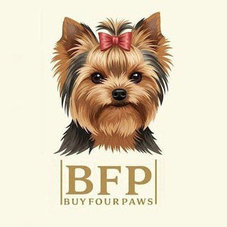 ПРОДАЖА ЦВЕТНЫХ ЙОРКОВ. ЩЕНКИ.🐶 Продажа собак, щенков.