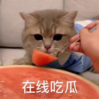 吃瓜🔥 美女🔥